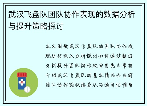 武汉飞盘队团队协作表现的数据分析与提升策略探讨